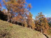 PIZZO BADILE (2044 m) ad anello colorato d’autunno da Piazzatorre-28ott24- FOTOGALLERY